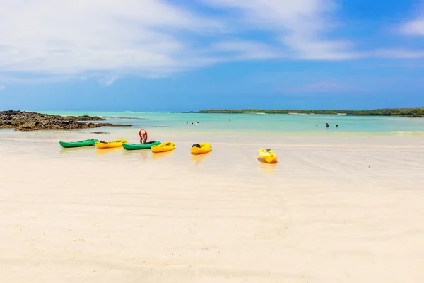 El Garrapatero-stranden på ön Santa Cruz i Galapagos. — Stockfoto