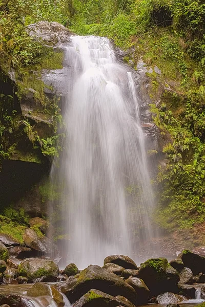 The lost waterfall trail near Boquete in Panama. Fall number thr — Stock Photo, Image