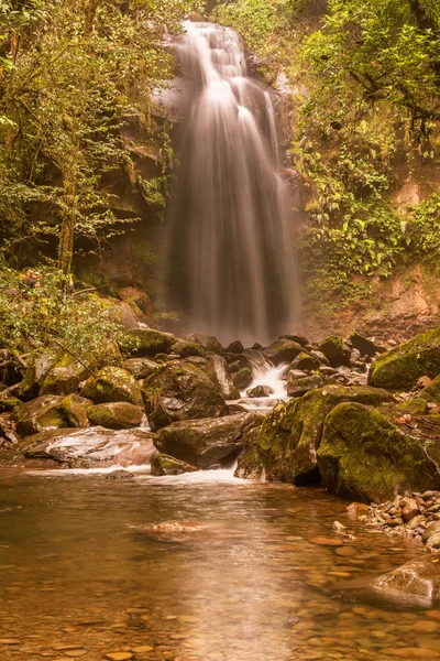 Het parcours van de verloren waterval in de buurt van Boquete in Panama. Daling aantal thr — Stockfoto