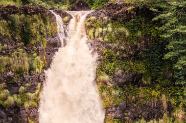Hawaii'deki Büyük Ada'daki Akaka Şelalesi'nde görüntüle