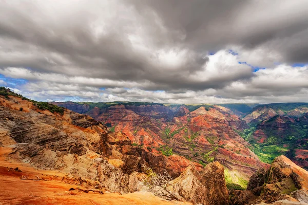 Vista en el Cañón Waimea en la isla de Kauai en Hawai . —  Fotos de Stock