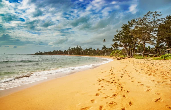 Vista en la playa en la isla Kauai de Hawai . — Foto de Stock