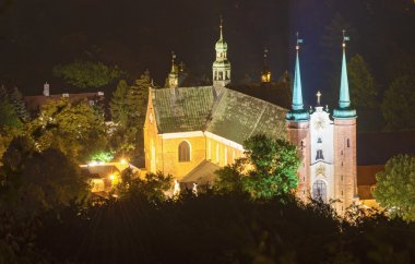 Katedral kilise Gdansk Oliwa, Polonya.