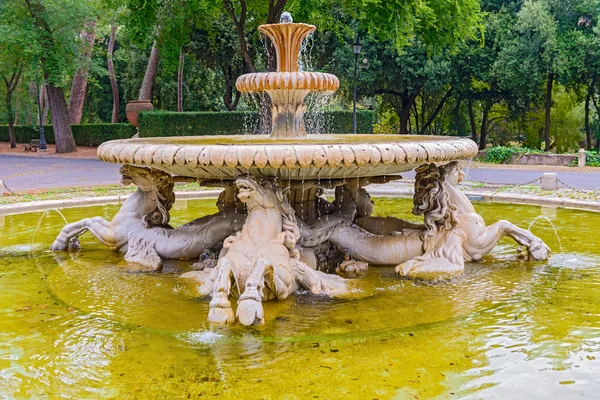 Fontaine à rome, italie. — Photo