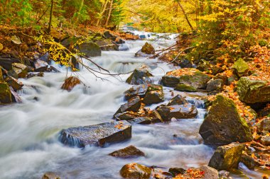 Nehir Algonquin Park Ontario, Kanada.