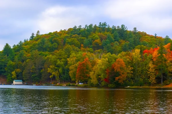 Colores de otoño Algonquin Park, Ontario, Canadá . —  Fotos de Stock