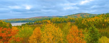 Panoramik manzaraya Algonquin Park Ontario, Kanada