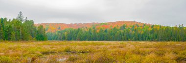 Panoramik manzaraya Algonquin Park Ontario, Kanada