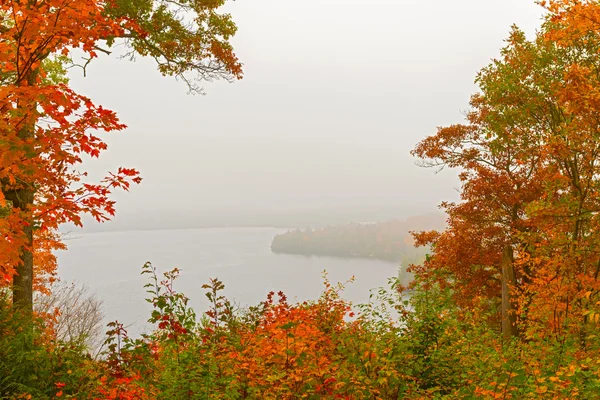 Nevoeiro sobre lago em Algonquin Park em Ontário, Canadá . — Fotografia de Stock