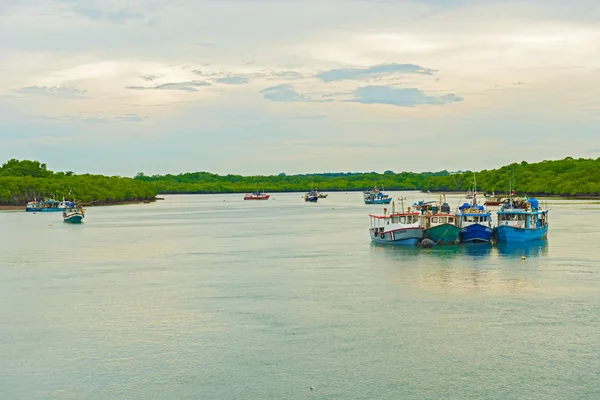 Barcos de pesca em Chiriquí, Panamá . — Fotografia de Stock
