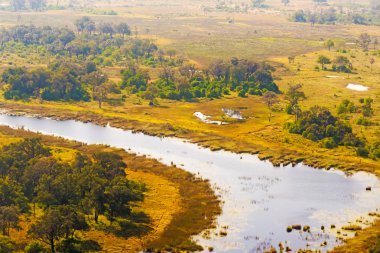 Okavango Deltası havadan görünümü