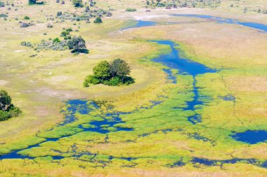 Okavango Deltası havadan görünümü
