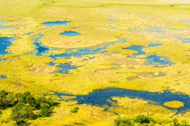 Okavango Deltası havadan görünümü
