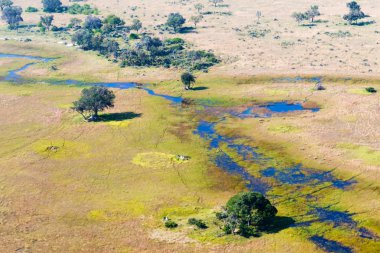 Okavango Deltası havadan görünümü