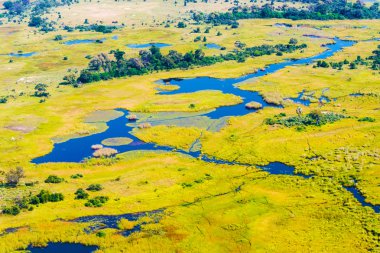Okavango Delta aerial view clipart