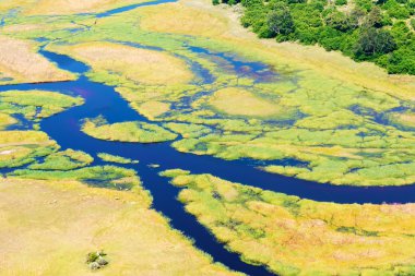 Okavango Delta aerial view clipart