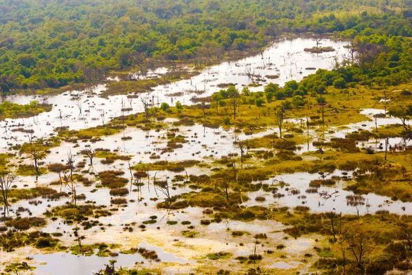 Дельта Окаванго вид с воздуха — стоковое фото