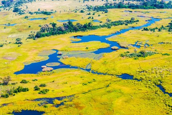 Letecký pohled na Okavango Delta — Stock fotografie