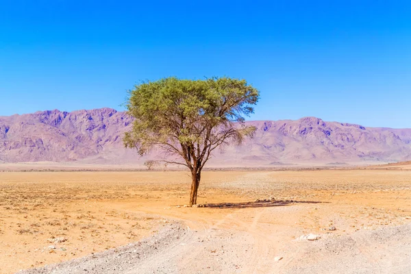 Пейзаж пустыни близ Сесриема в Намибии . — стоковое фото