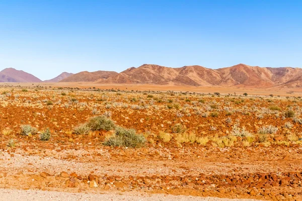 Desierto paisaje en namibia —  Fotos de Stock