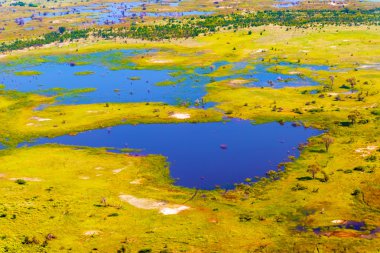 Okavango Deltası havadan görünümü