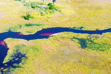 Okavango Deltası havadan görünümü