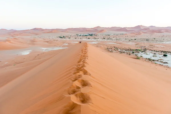 在纳米比亚 Sossusvlei 附近的纳米比亚沙漠沙丘. — 图库照片