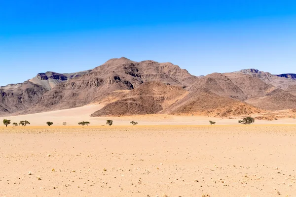 Desierto paisaje en namibia —  Fotos de Stock