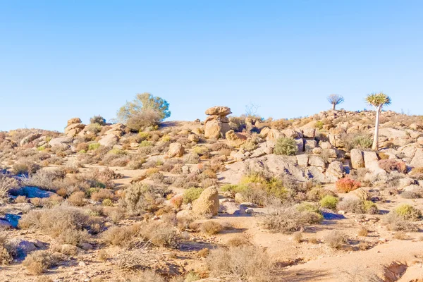 Desert landscape near Kliprand in South Africa — Stock Photo, Image