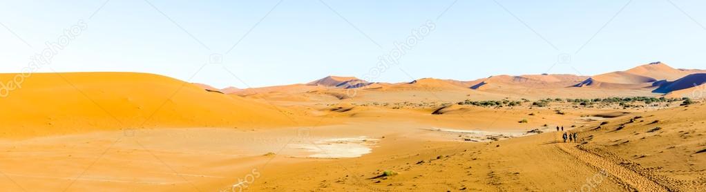 Sand Dune in the Namibian Desert near Sossusvlei