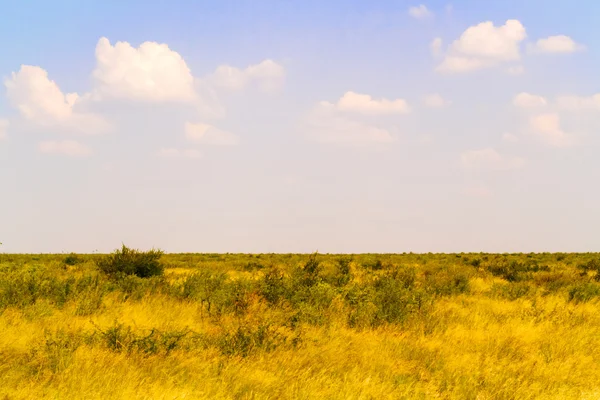 Landskap i Botswana. — Stockfoto