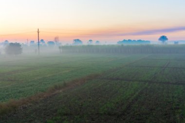 Edfu, Mısır'daki kırsal alanlar
