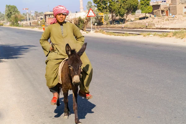 Mensch und Esel — Stockfoto