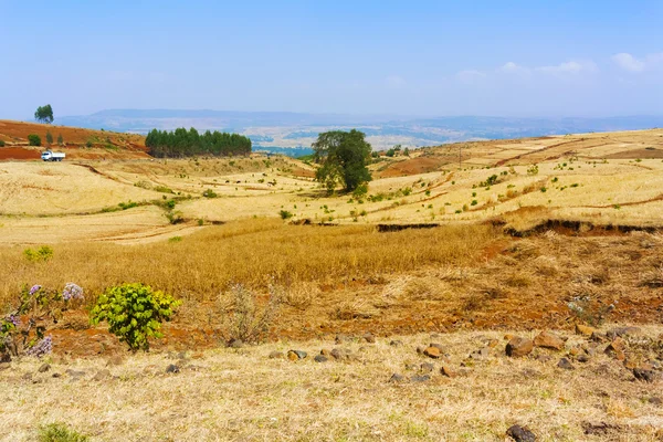 Paisagem agrícola na Etiópia — Fotografia de Stock