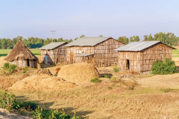 Ethiopische huizen in het dorp — Stockfoto