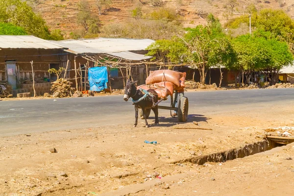 Asino e il carrello in Etiopia — Foto Stock