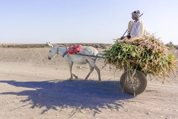 Carro de burro en Sudán —  Fotos de Stock