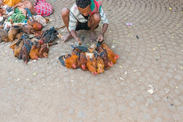 Rynek w Bahir Dar — Zdjęcie stockowe