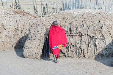 Tanzanya'daki Masai insanlar