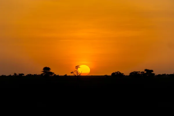 Zonsondergang in tanzania — Stockfoto