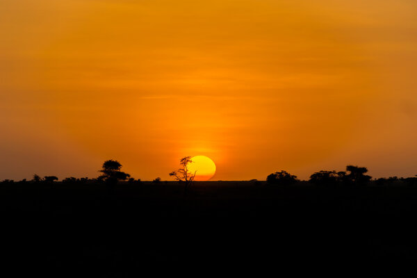 Scenic sunset over savannah landscape in Tanzania in East Africa