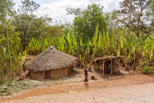 Casas na zona rural Etiópia — Fotografia de Stock