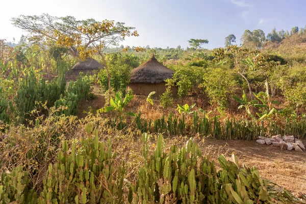 Paisagem rural na Etiópia — Fotografia de Stock