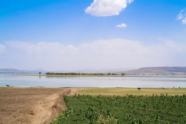 Lago koka na Etiópia — Fotografia de Stock