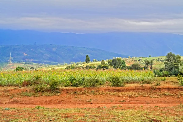 Paisagem rural na tanzânia — Fotografia de Stock