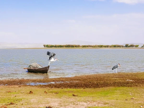 Malawisee am Chitimba-Strand — Stockfoto