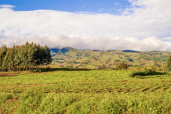 Paisagem rural tanzânia — Fotografia de Stock