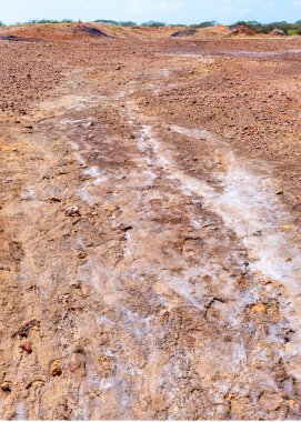 Sarigua is one of Panama's oldest human settlement sites, with artifacts dating back over 11,000 years. logging for  exposed the soil. Strong winds and heavy rains then eroded the earth, 