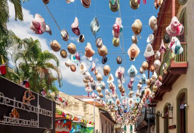 Panama City 'de, Casco Viejo' nun tarihi bölgesinde yer alır. Sokak özellikle Calle 1a Oeste 'de bulunur..