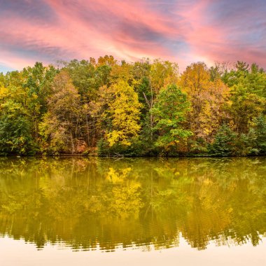 Sonbahar ağaçlarının zirvedeki renkleri, Kanada 'nın Ontario, Port Dover kentindeki sakin bir Black Creek' te, yumuşak pembe bir günbatımı gökyüzünün altında, sakin bir mevsimlik manzara yaratarak yansıtılır..